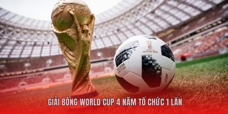 GIẢI BÓNG WORLD CUP 4 NĂM TỔ CHỨC 1 LẦN