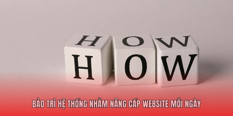 Bảo trì hệ thống nhằm nâng cấp website mỗi ngày 