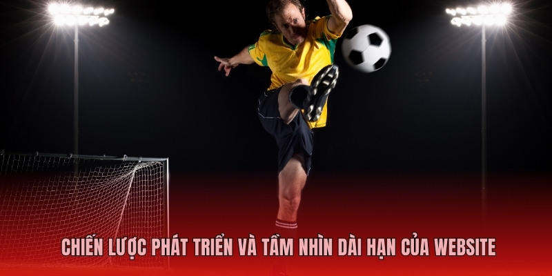 Chiến lược phát triển và tầm nhìn dài hạn của website