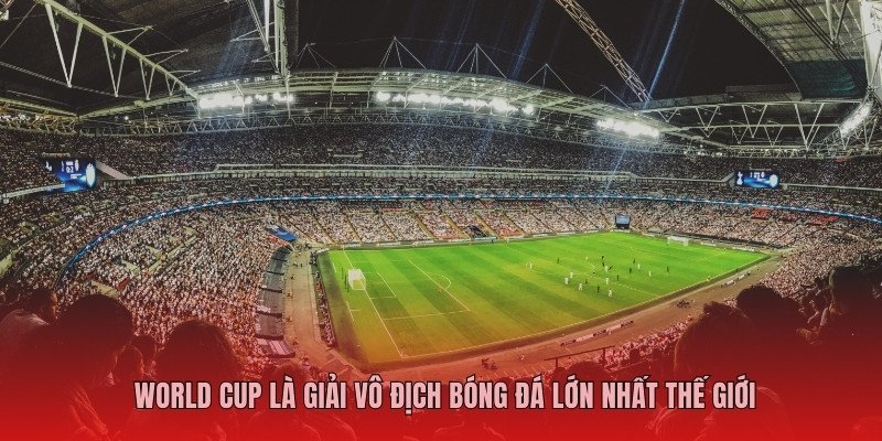 World Cup là giải vô địch bóng đá lớn nhất thế giới